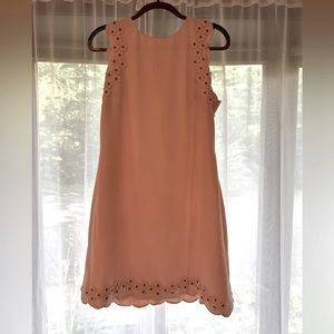 TED BAKER: pink shift dress